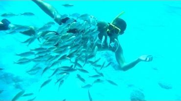 0-5-1-370x208 Homepage Video