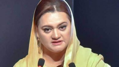 486954_76335560-390x220 Whenever Nawaz Sharif's name comes up, idea of ​​development, peace comes to minds, says Maryam Nawaz