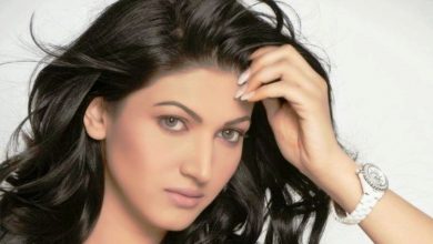 Actress-Sana-Fakhar-390x220 Whenever Nawaz Sharif's name comes up, idea of ​​development, peace comes to minds, says Maryam Nawaz