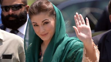 Maryam-Nawaz-390x220 Whenever Nawaz Sharif's name comes up, idea of ​​development, peace comes to minds, says Maryam Nawaz