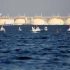 Govt to start import of Liquefied Natural Gas (LNG) in the coming months.