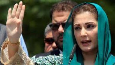 Na-390x220 Whenever Nawaz Sharif's name comes up, idea of ​​development, peace comes to minds, says Maryam Nawaz
