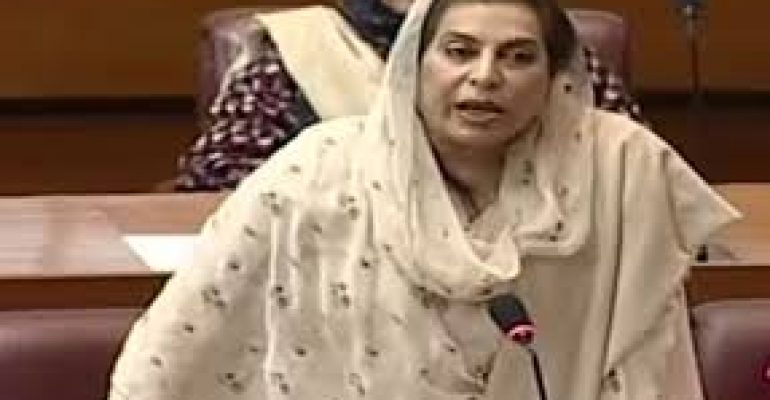 Govt’s allies would always stand with Imran Khan, says Fehmida Mirza