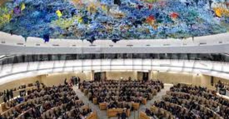 In India, a cow is safer than an Indian Muslim, Junaid Suleman told UN