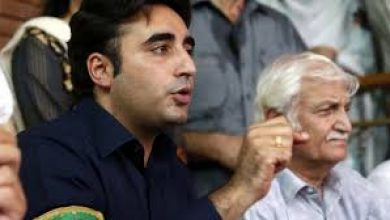 Bilawal-Butto-1-390x220 Whenever Nawaz Sharif's name comes up, idea of ​​development, peace comes to minds, says Maryam Nawaz