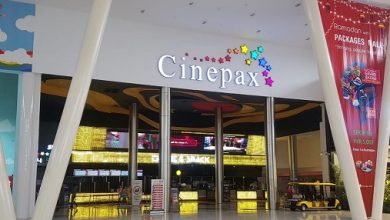 Cinemas-in-Pakistan-390x220 Whenever Nawaz Sharif's name comes up, idea of ​​development, peace comes to minds, says Maryam Nawaz