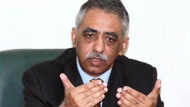 Muhammad-Zubair-390x220 Whenever Nawaz Sharif's name comes up, idea of ​​development, peace comes to minds, says Maryam Nawaz