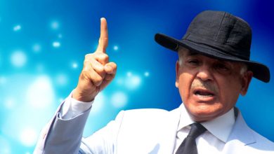 Shahbaz-Sharif-2-390x220 Whenever Nawaz Sharif's name comes up, idea of ​​development, peace comes to minds, says Maryam Nawaz