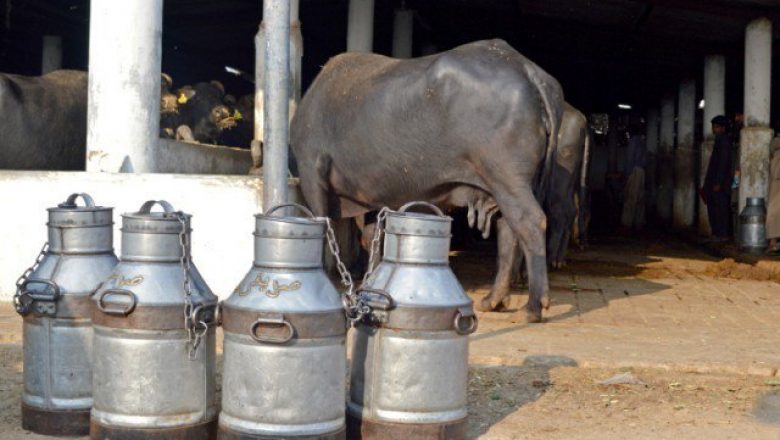Toxic-milk-on-sale-in-Pakistan-780x440 Whenever Nawaz Sharif's name comes up, idea of ​​development, peace comes to minds, says Maryam Nawaz