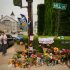 Trump urges ICE to keep using traffic stops after deadly incidents